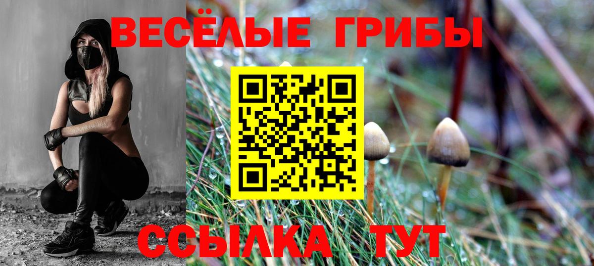 Галлюциногенные грибы Cubensis Можайск