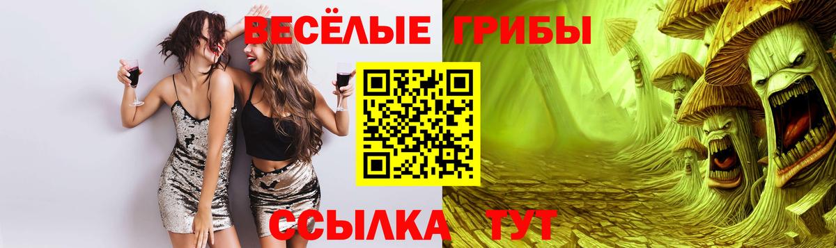 Псилоцибиновые грибы Psilocybine cubensis  Галлюциногенные грибы Cubensis  где купить наркоту  Можайск  Вход с VPN 